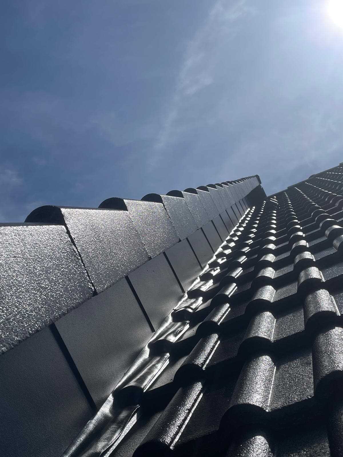 Premium Dachbeschichtung